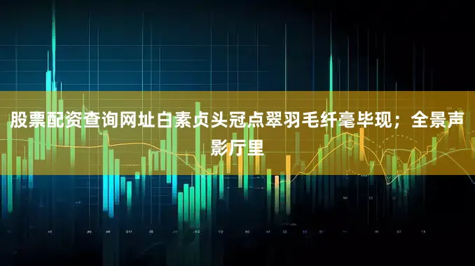 股票配资查询网址白素贞头冠点翠羽毛纤毫毕现；全景声影厅里