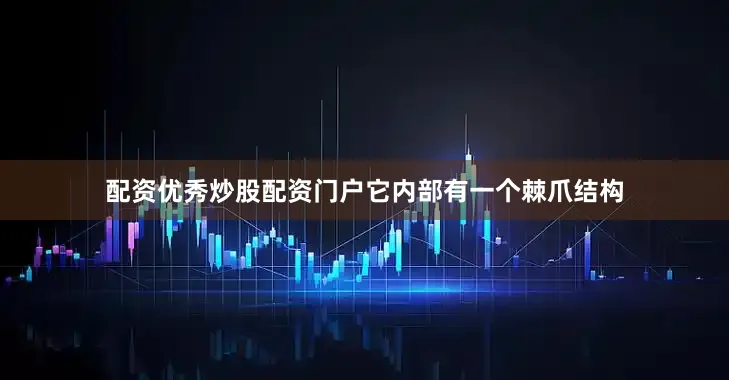配资优秀炒股配资门户它内部有一个棘爪结构